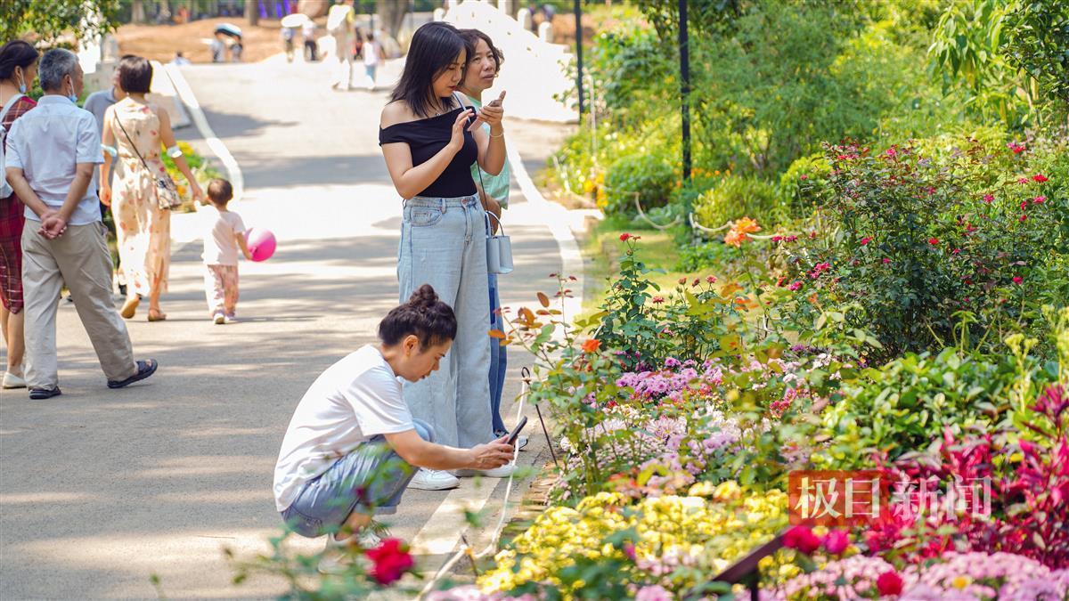 大阳城集团娱乐游戏手机版